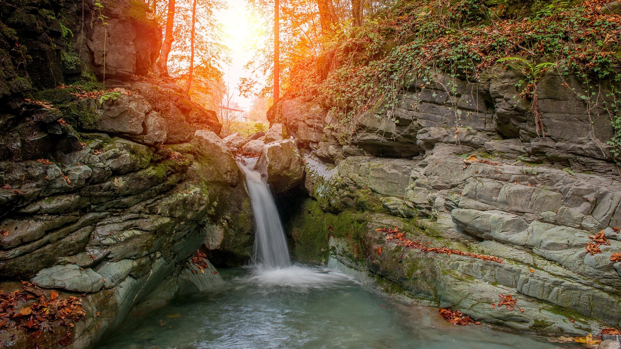 Wasser ökologisch betrachtet - vortexpower